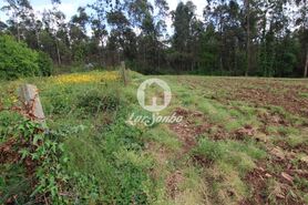 Terreno R�stico - Balazar, P�voa de Varzim, Porto - Miniatura: 5/6