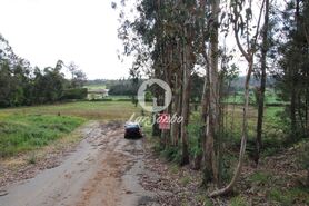 Terreno R�stico - Balazar, P�voa de Varzim, Porto - Miniatura: 6/6