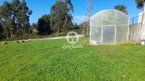 Terreno R�stico - Vila Nova de Famalic�o, Vila Nova de Famalic�o, Braga - Miniatura: 5/5