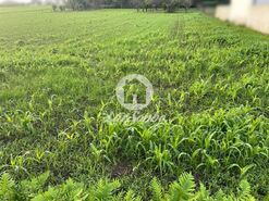 Terreno R�stico - P�voa de Varzim, P�voa de Varzim, Porto - Miniatura: 2/3
