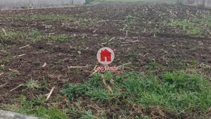 Terreno R�stico - Fajozes, Vila do Conde, Porto - Miniatura: 4/5