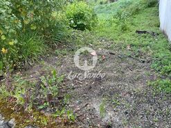Terreno R�stico - Gondifelos, Vila Nova de Famalic�o, Braga - Miniatura: 1/2