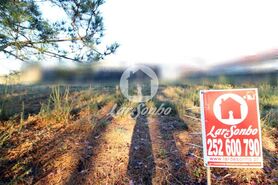 Terreno R�stico - Fradelos, Vila Nova de Famalic�o, Braga - Miniatura: 2/5