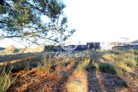 Terreno R�stico - Fradelos, Vila Nova de Famalic�o, Braga - Miniatura: 4/5