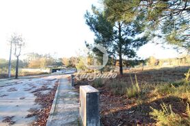 Terreno R�stico - Fradelos, Vila Nova de Famalic�o, Braga - Miniatura: 5/5