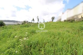 Terreno R�stico - Bougado, Trofa, Porto - Miniatura: 5/5