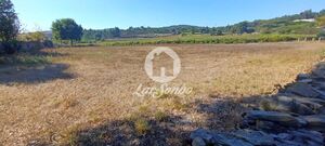 Terreno R�stico - Ribeir�o, Vila Nova de Famalic�o, Braga - Miniatura: 1/5
