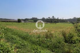 Terreno R�stico - Fradelos, Vila Nova de Famalic�o, Braga - Miniatura: 1/1