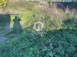 Terreno R�stico - Junqueira, Vila do Conde, Porto - Miniatura: 4/6