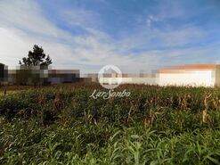 Terreno R�stico - Malta, Vila do Conde, Porto - Miniatura: 3/4