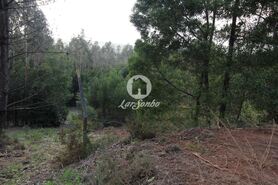 Terreno R�stico - Vilarinho das Cambas, Vila Nova de Famalic�o, Braga - Miniatura: 4/7