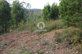 Terreno R�stico - Vilarinho das Cambas, Vila Nova de Famalic�o, Braga - Miniatura: 5/7