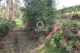 Terreno R�stico - Vilarinho das Cambas, Vila Nova de Famalic�o, Braga - Miniatura: 6/7