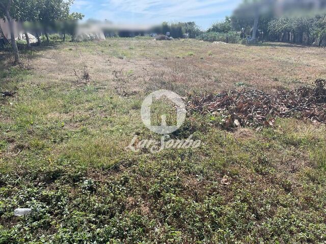 Terreno R�stico - Apulia, Esposende, Braga - Imagem grande