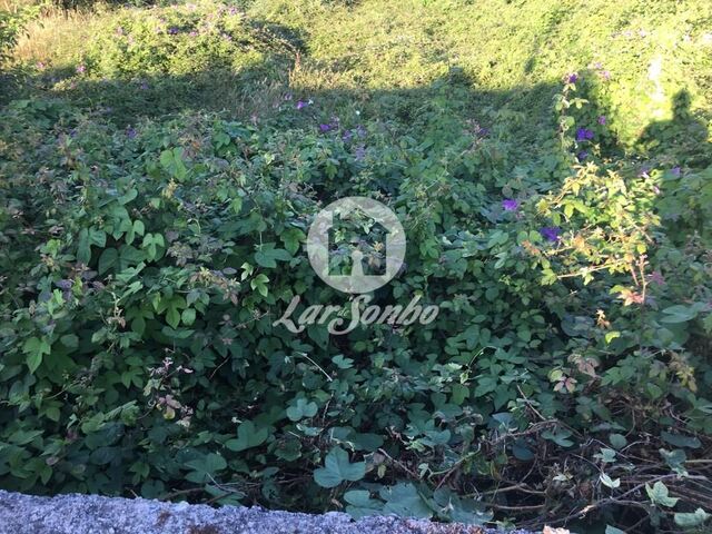 Terreno R�stico - Malta, Vila do Conde, Porto - Imagem grande