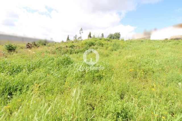 Terreno R�stico - Bougado, Trofa, Porto - Imagem grande