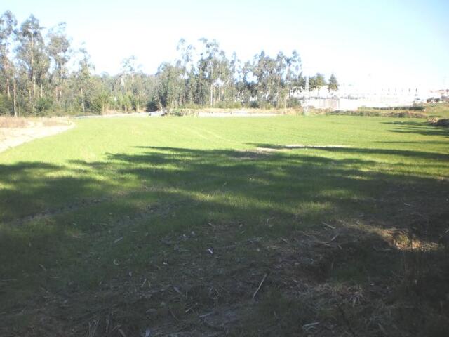 Terreno R�stico - Gi�o, Vila do Conde, Porto - Imagem grande