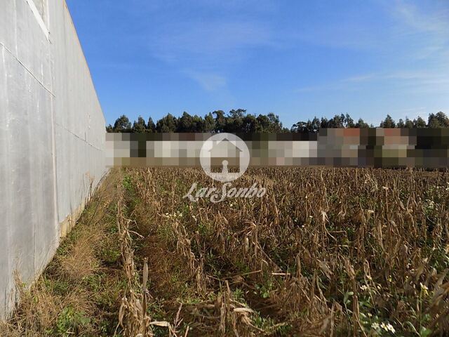 Terreno R�stico - Malta, Vila do Conde, Porto - Imagem grande