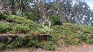 Terreno R�stico - OLIVEIRA, Vila Nova de Famalic�o, Braga