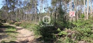 Terreno R�stico - Fradelos, Vila Nova de Famalic�o, Braga