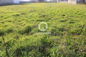 Terreno R�stico - Agu�adoura, P�voa de Varzim, Porto - Miniatura: 1/3