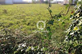 Terreno R�stico - Agu�adoura, P�voa de Varzim, Porto - Miniatura: 2/3
