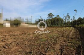 Terreno R�stico - Bagunte, Vila do Conde, Porto - Miniatura: 1/6