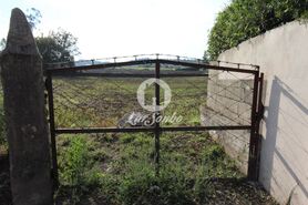 Terreno R�stico - Bagunte, Vila do Conde, Porto - Miniatura: 4/6