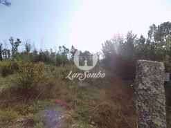 Terreno R�stico - Arnoso, Vila Nova de Famalic�o, Braga - Miniatura: 2/3