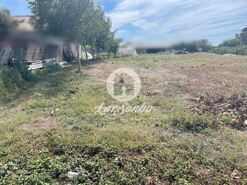Terreno R�stico - Apulia, Esposende, Braga - Miniatura: 1/3