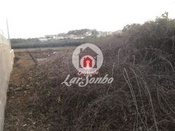 Terreno R�stico - Macieira da Maia, Vila do Conde, Porto - Miniatura: 2/7