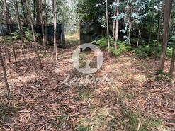 Terreno R�stico - Bagunte, Vila do Conde, Porto - Miniatura: 4/16