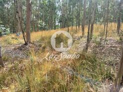 Terreno R�stico - Bagunte, Vila do Conde, Porto - Miniatura: 6/16