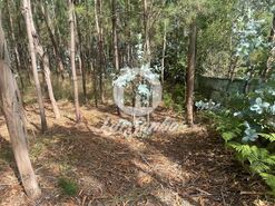 Terreno R�stico - Bagunte, Vila do Conde, Porto - Miniatura: 7/16