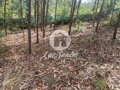 Terreno R�stico - Bagunte, Vila do Conde, Porto - Miniatura: 10/16