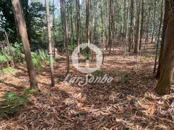 Terreno R�stico - Bagunte, Vila do Conde, Porto - Miniatura: 16/16