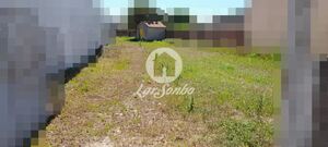 Terreno R�stico - Estela, P�voa de Varzim, Porto - Miniatura: 1/5