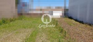 Terreno R�stico - Estela, P�voa de Varzim, Porto - Miniatura: 2/5