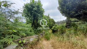 Terreno R�stico - Espinho, Braga, Braga - Miniatura: 23/26