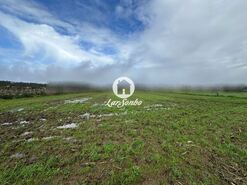 Terreno R�stico - Gi�o, Vila do Conde, Porto - Miniatura: 5/17