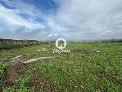 Terreno R�stico - Gi�o, Vila do Conde, Porto - Miniatura: 9/17