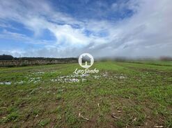 Terreno R�stico - Gi�o, Vila do Conde, Porto - Miniatura: 13/17