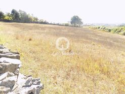 Terreno R�stico - Ribeir�o, Vila Nova de Famalic�o, Braga - Miniatura: 2/5