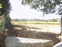 Terreno R�stico - Ribeir�o, Vila Nova de Famalic�o, Braga - Miniatura: 3/5