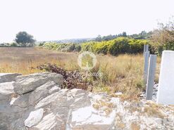 Terreno R�stico - Ribeir�o, Vila Nova de Famalic�o, Braga - Miniatura: 4/5