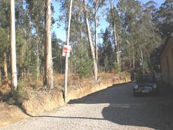 Terreno R�stico - Gi�o, Vila do Conde, Porto - Miniatura: 6/6