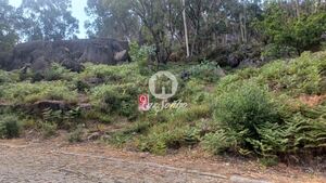 Terreno R�stico - OLIVEIRA, Vila Nova de Famalic�o, Braga - Miniatura: 1/3
