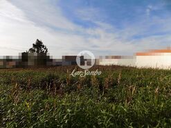 Terreno R�stico - Malta, Vila do Conde, Porto - Miniatura: 4/4