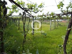 Quinta T6 - Ruiv�es, Vila Nova de Famalic�o, Braga - Miniatura: 19/23