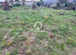 Terreno R�stico - Muro, Trofa, Porto - Miniatura: 3/8